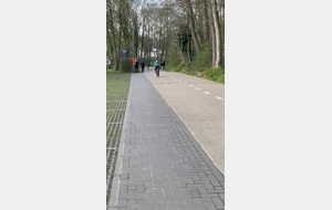 Ccl in flanders field